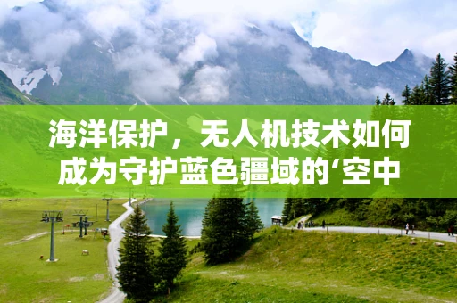 海洋保护，无人机技术如何成为守护蓝色疆域的‘空中卫士’？