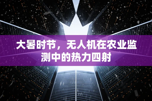大暑时节，无人机在农业监测中的热力四射