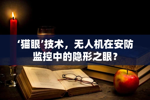 ‘猫眼’技术，无人机在安防监控中的隐形之眼？