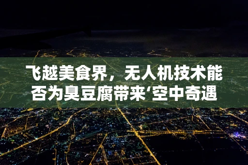 飞越美食界，无人机技术能否为臭豆腐带来‘空中奇遇’？