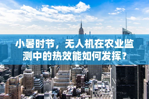 小暑时节，无人机在农业监测中的热效能如何发挥？