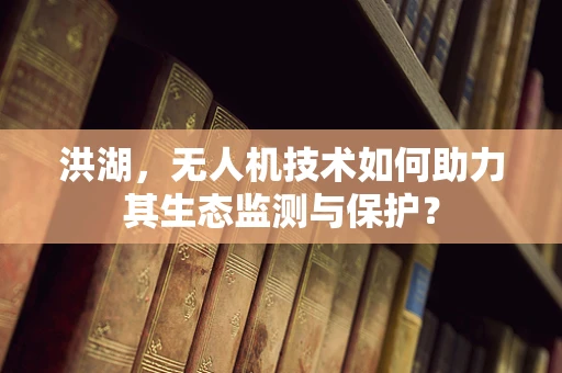 洪湖，无人机技术如何助力其生态监测与保护？