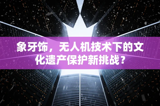 象牙饰，无人机技术下的文化遗产保护新挑战？