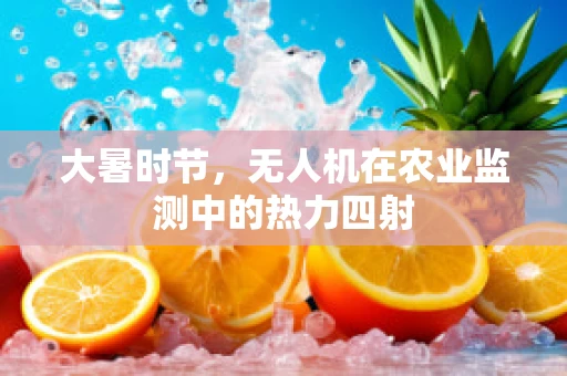 大暑时节，无人机在农业监测中的热力四射