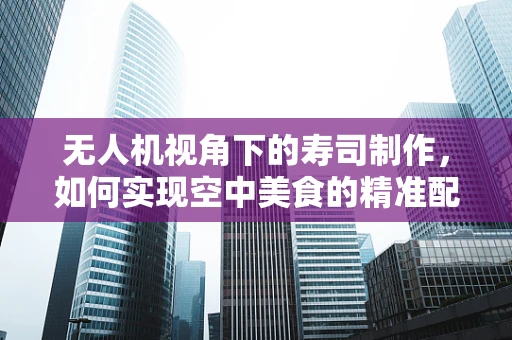 无人机视角下的寿司制作，如何实现空中美食的精准配送？