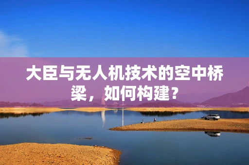 大臣与无人机技术的空中桥梁，如何构建？