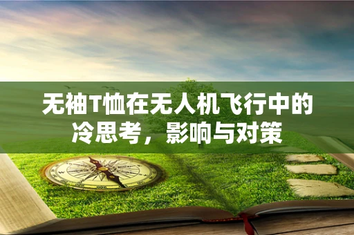 无袖T恤在无人机飞行中的冷思考，影响与对策