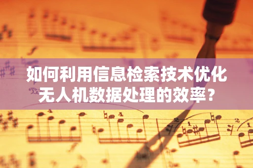 如何利用信息检索技术优化无人机数据处理的效率？