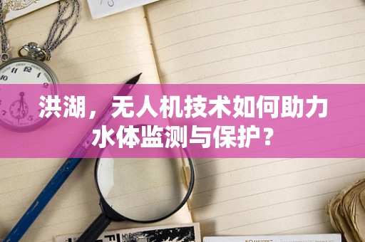 洪湖，无人机技术如何助力水体监测与保护？