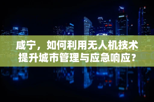 咸宁，如何利用无人机技术提升城市管理与应急响应？