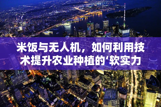 米饭与无人机，如何利用技术提升农业种植的‘软实力’？