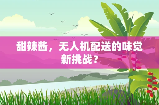 甜辣酱，无人机配送的味觉新挑战？