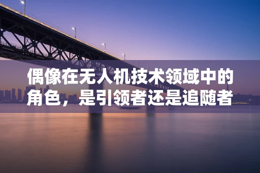偶像在无人机技术领域中的角色，是引领者还是追随者？