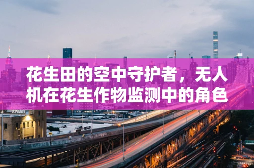 花生田的空中守护者，无人机在花生作物监测中的角色？