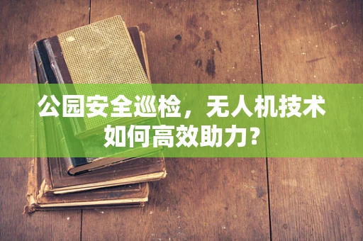 公园安全巡检，无人机技术如何高效助力？