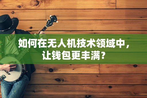 如何在无人机技术领域中，让钱包更丰满？