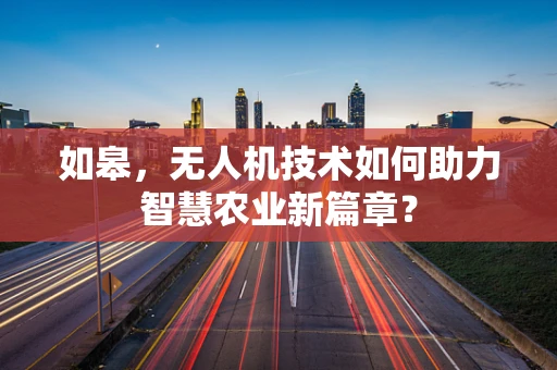 如皋，无人机技术如何助力智慧农业新篇章？