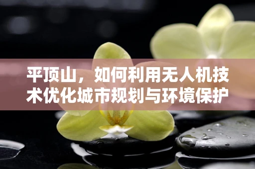 平顶山，如何利用无人机技术优化城市规划与环境保护？