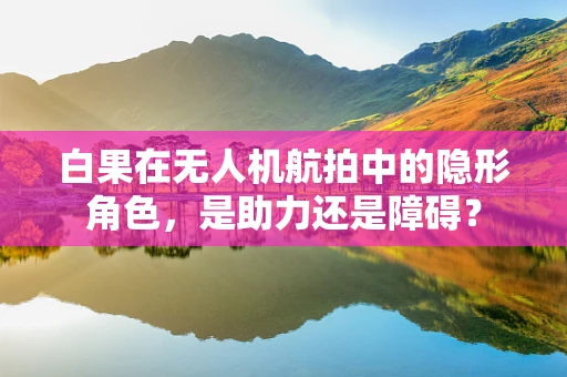 白果在无人机航拍中的隐形角色，是助力还是障碍？