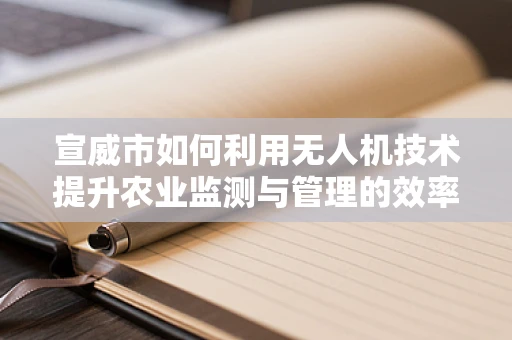 宣威市如何利用无人机技术提升农业监测与管理的效率？