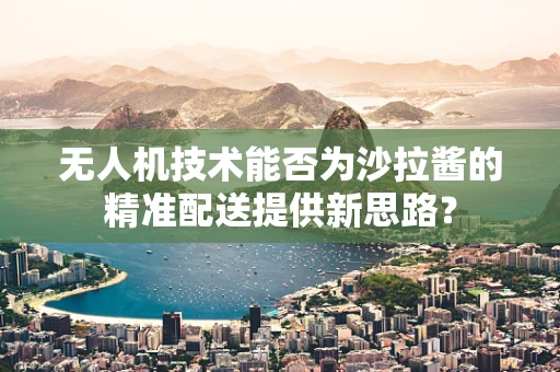无人机技术能否为沙拉酱的精准配送提供新思路？