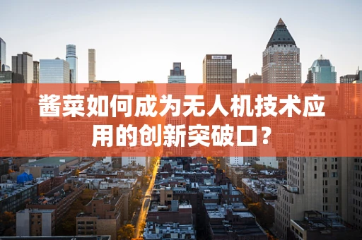 酱菜如何成为无人机技术应用的创新突破口？
