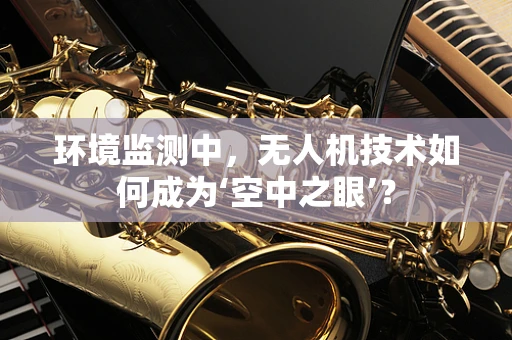 环境监测中，无人机技术如何成为‘空中之眼’？