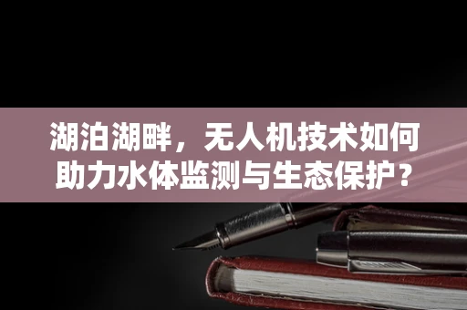 湖泊湖畔，无人机技术如何助力水体监测与生态保护？