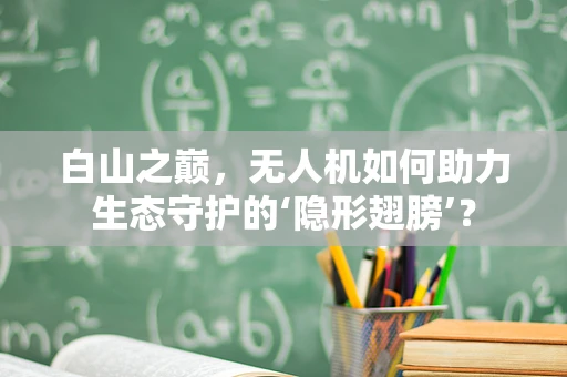 白山之巅，无人机如何助力生态守护的‘隐形翅膀’？