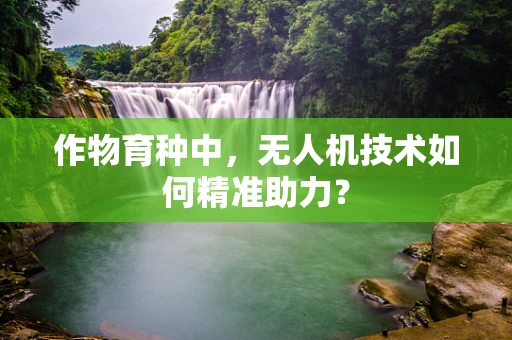 作物育种中，无人机技术如何精准助力？