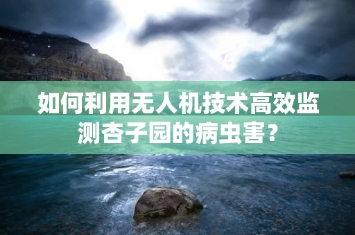 如何利用无人机技术高效监测杏子园的病虫害？