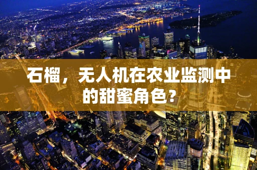 石榴，无人机在农业监测中的甜蜜角色？
