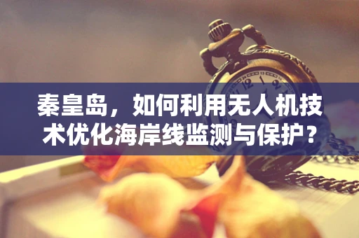秦皇岛，如何利用无人机技术优化海岸线监测与保护？
