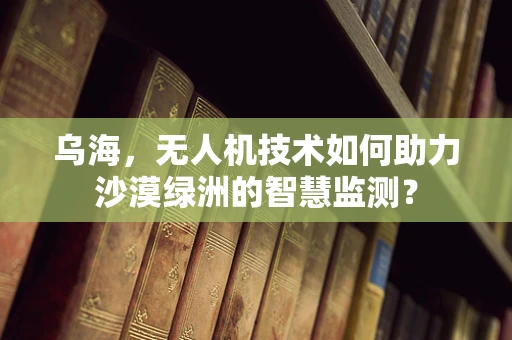 乌海，无人机技术如何助力沙漠绿洲的智慧监测？