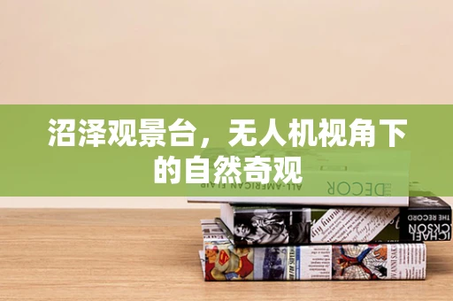 沼泽观景台，无人机视角下的自然奇观