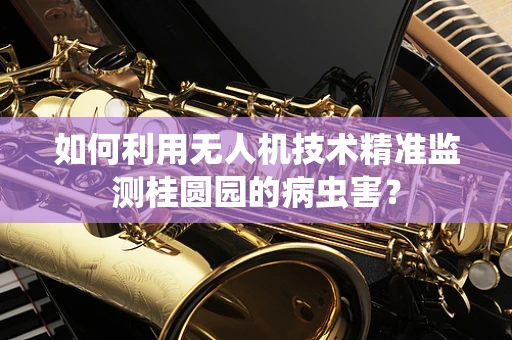 如何利用无人机技术精准监测桂圆园的病虫害？