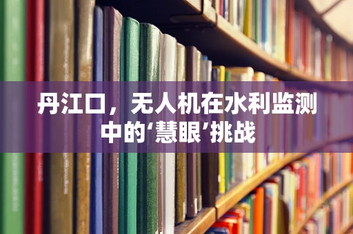 丹江口，无人机在水利监测中的‘慧眼’挑战