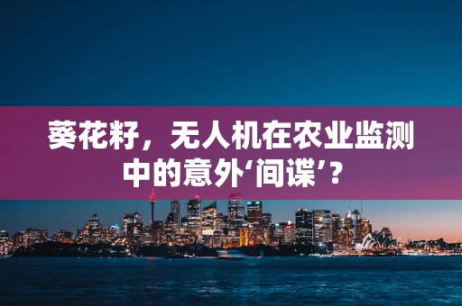 葵花籽，无人机在农业监测中的意外‘间谍’？