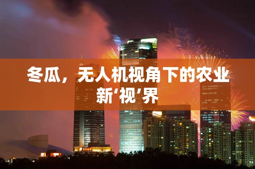 冬瓜，无人机视角下的农业新‘视’界