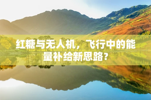 红糖与无人机，飞行中的能量补给新思路？