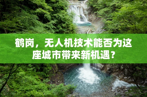 鹤岗，无人机技术能否为这座城市带来新机遇？