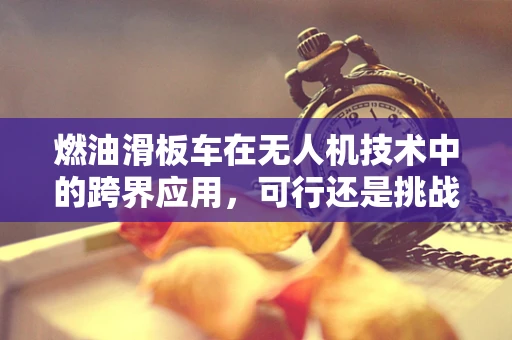 燃油滑板车在无人机技术中的跨界应用，可行还是挑战？