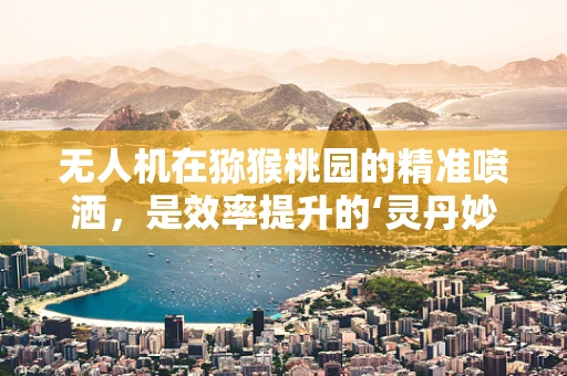 无人机在猕猴桃园的精准喷洒，是效率提升的‘灵丹妙药’还是技术应用的‘空中楼阁’？