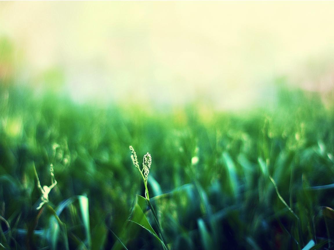 殡仪馆告别厅，无人机技术如何重塑哀悼空间？